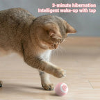 🐱 Pelota Interactiva Recargable para Gatos 🐾