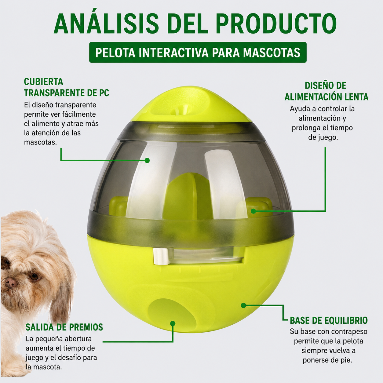 Huevo Dispensador Comida De Perros