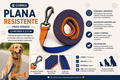 Correa Plana Larga- Perro- Azul Naranja